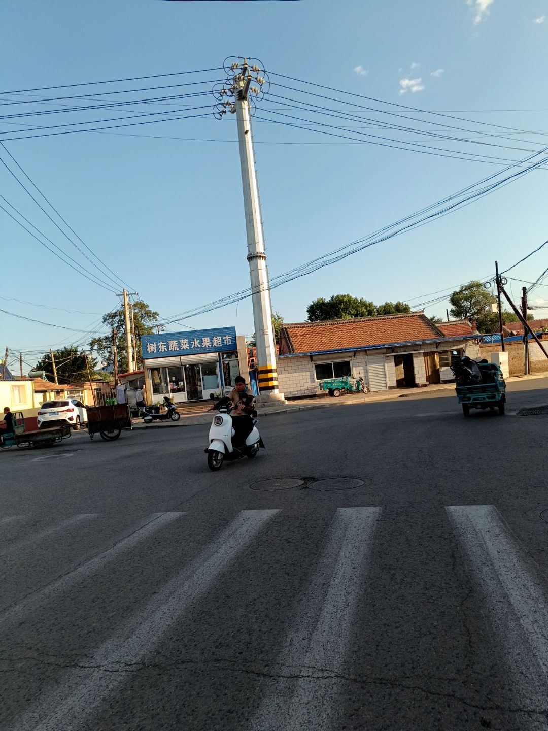 树东蔬菜水果超市