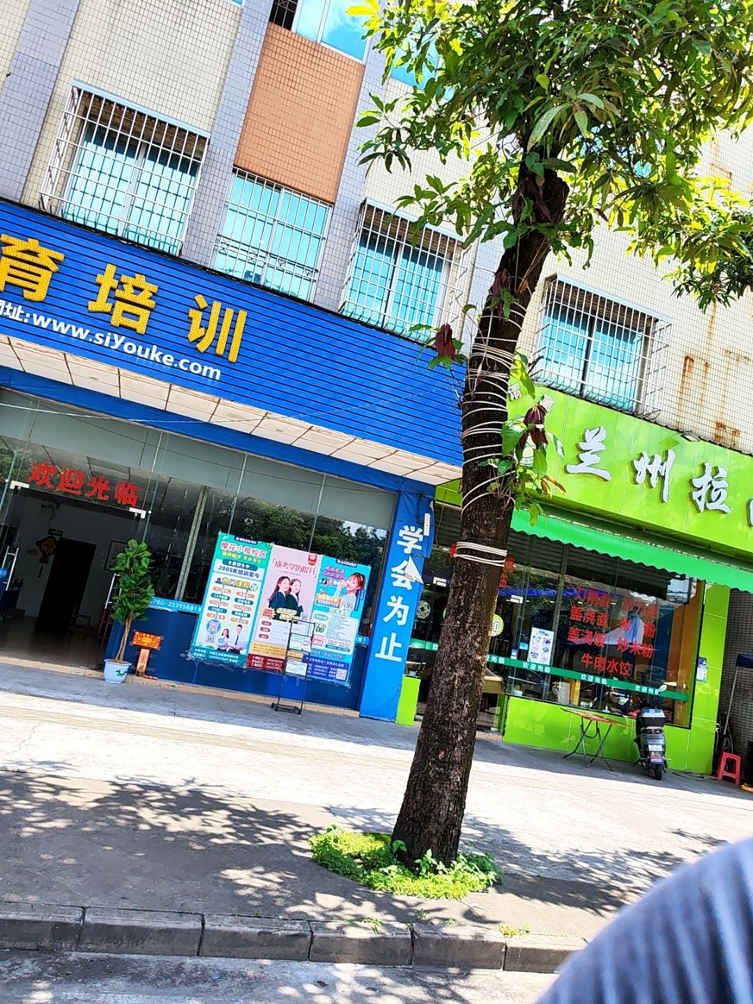 清真中国兰州拉面