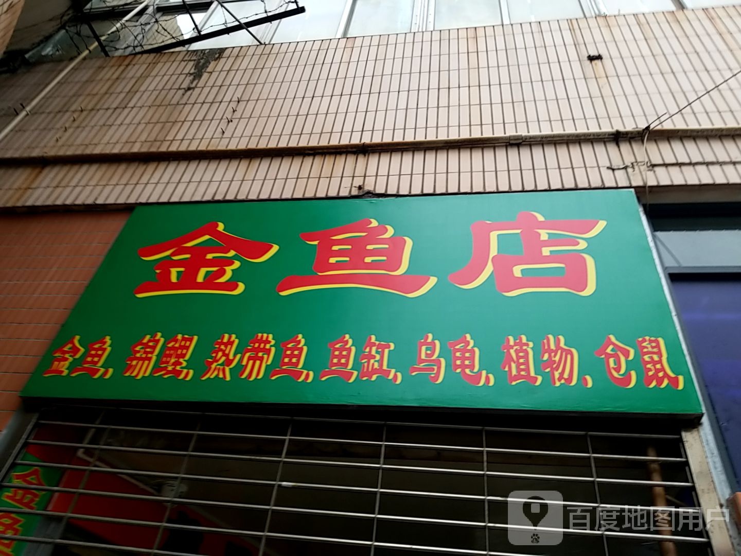 龙凤呈祥金鱼店(南坑市场店)