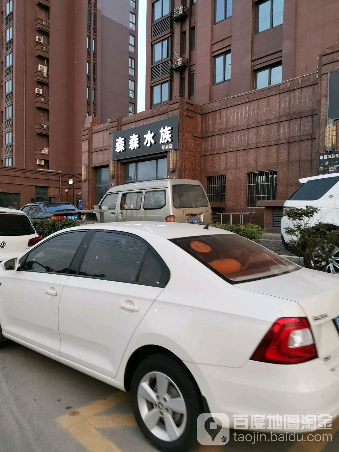 sen森水族专卖店(兴骆路店)