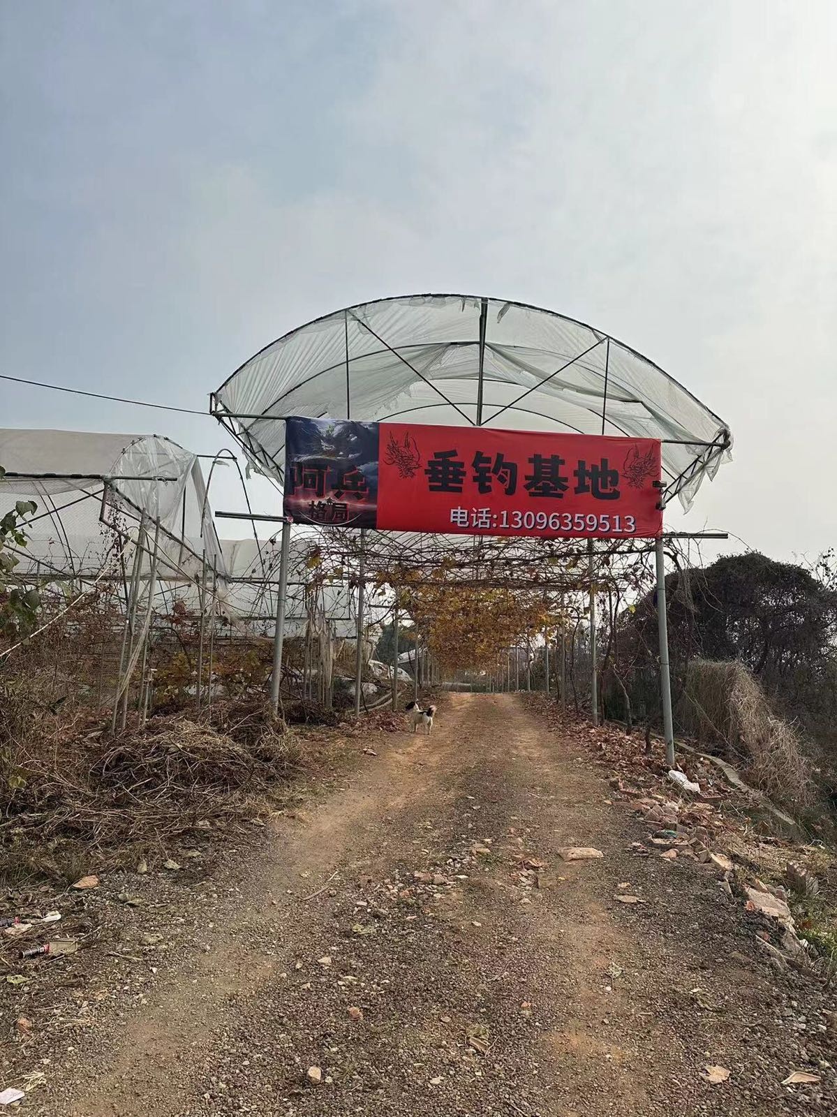 阿兵垂钓基地