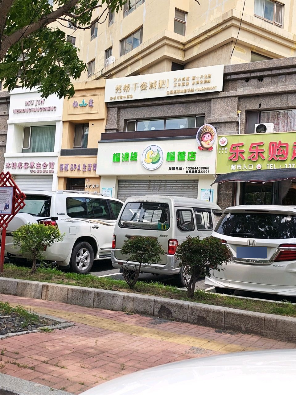 秀蒂千资减肥