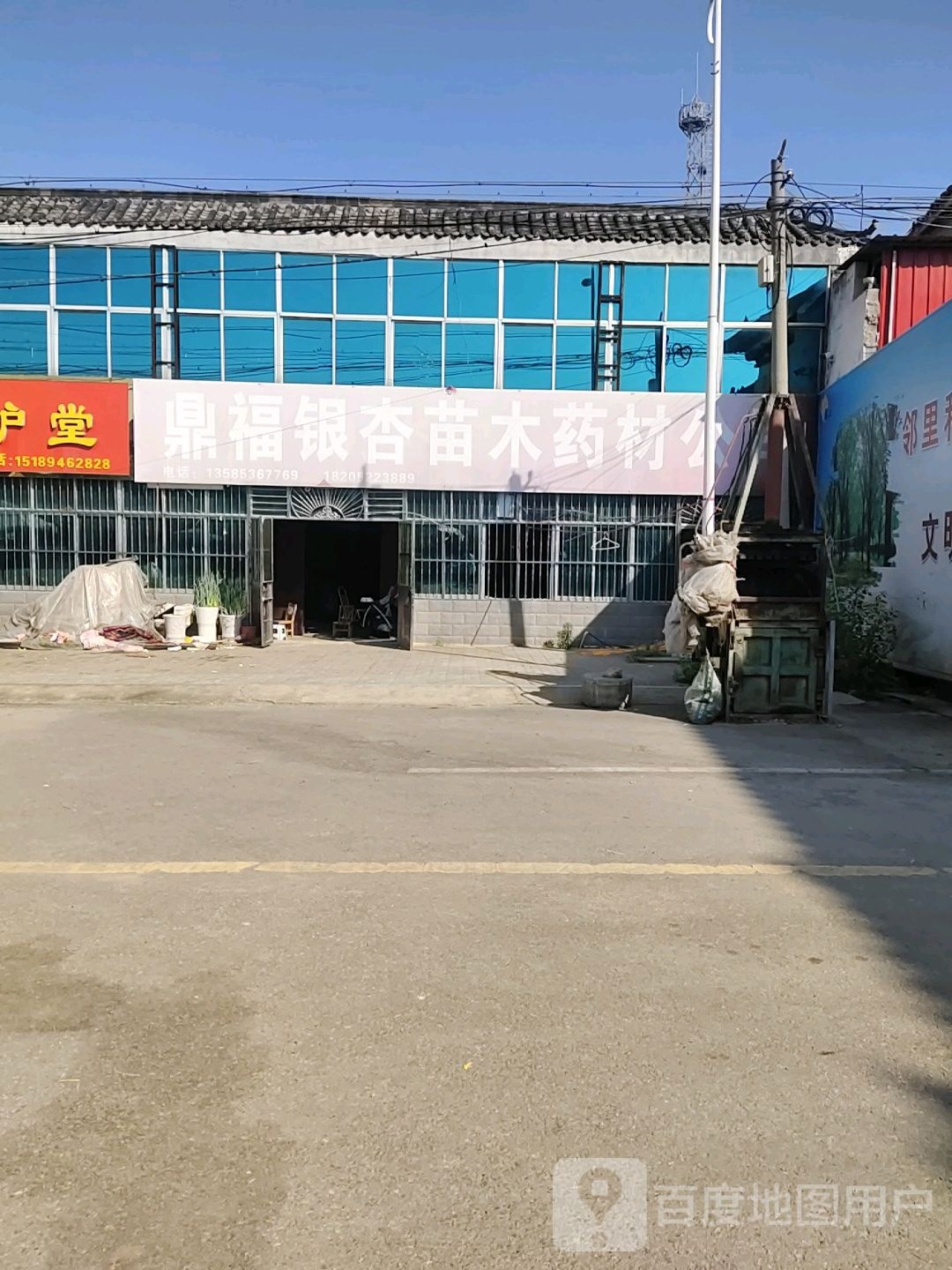 鼎福银杏苗木药材公司