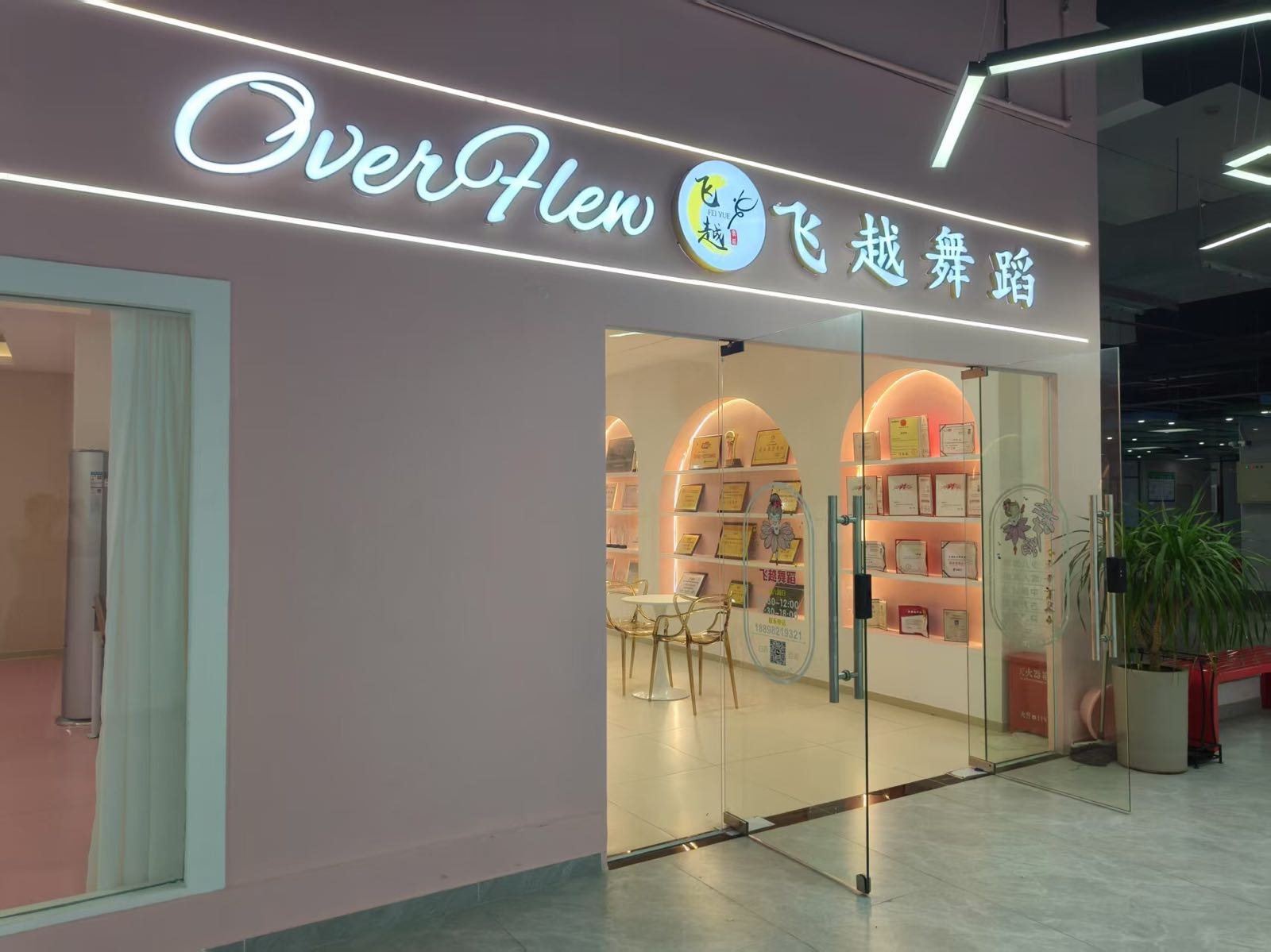 陵水飞越舞蹈培训有限公司