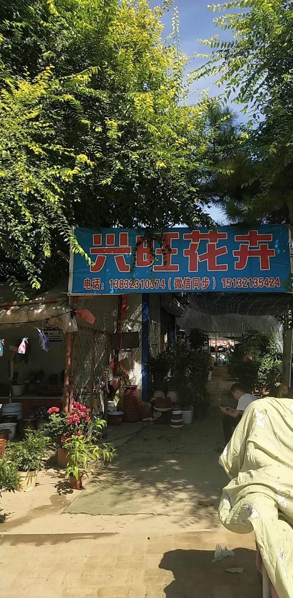 兴旺花卉