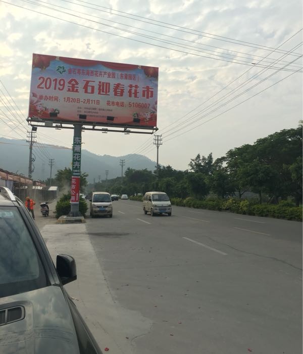 金石花市