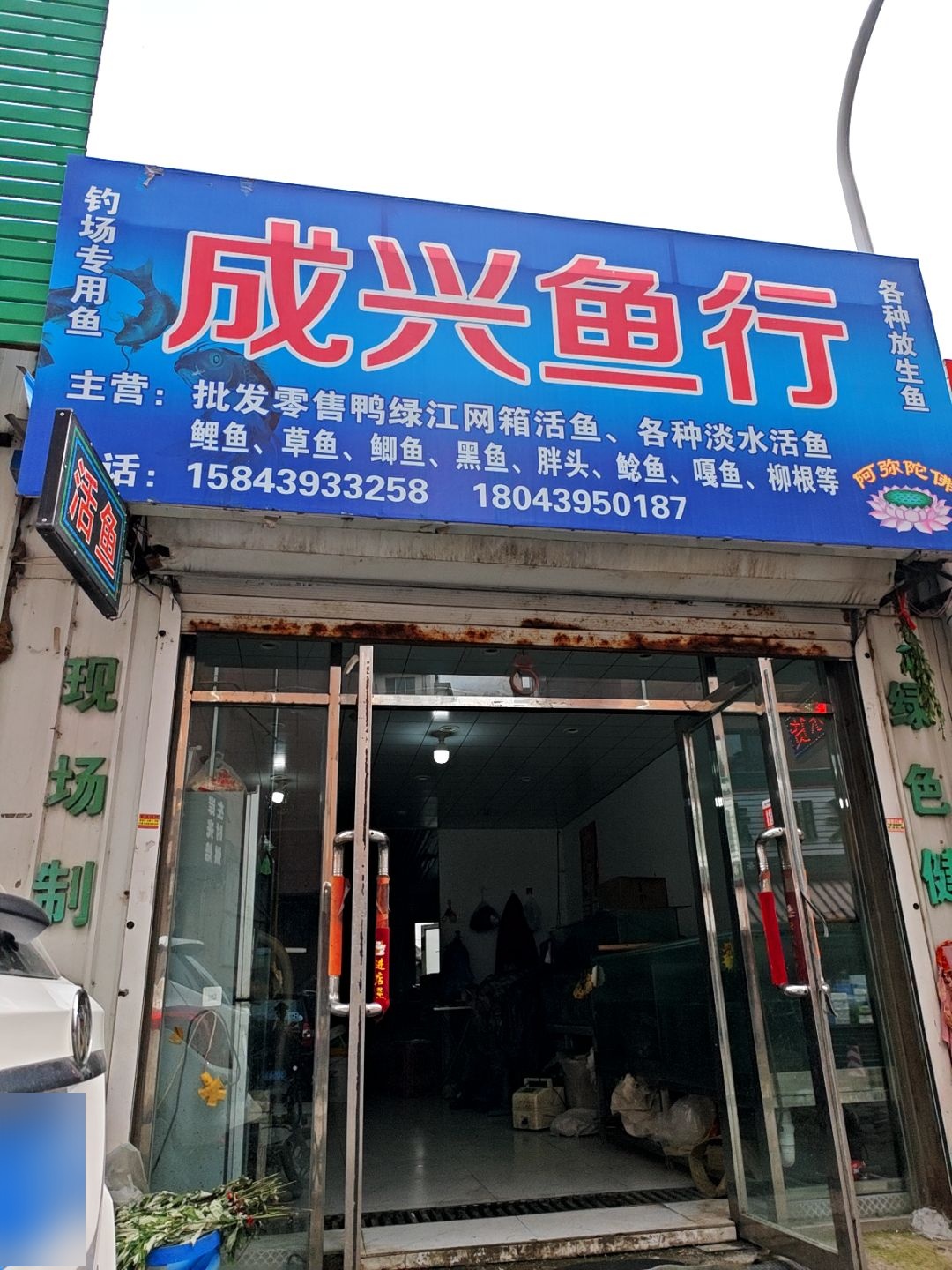 成兴鱼行