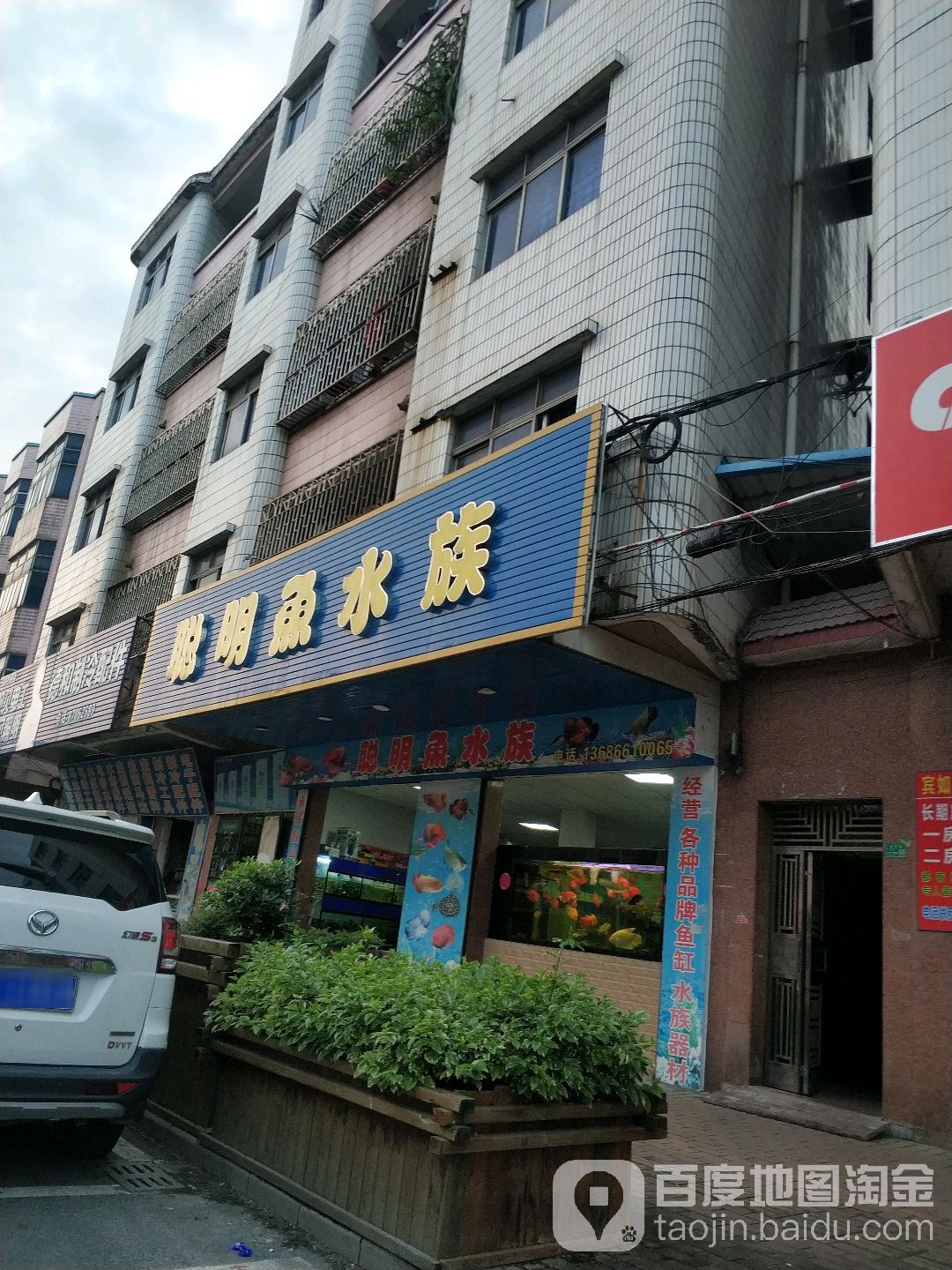 聪明鱼水族(横沥分店)
