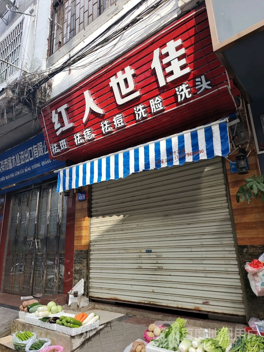 红人世佳