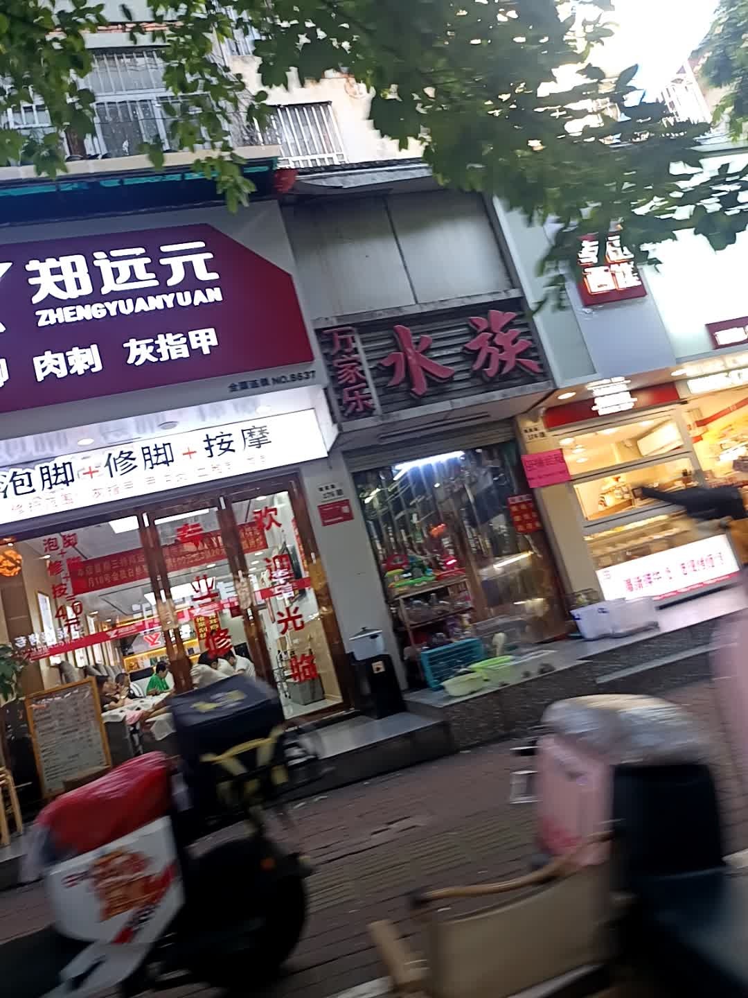 万家乐水族(福星路店)