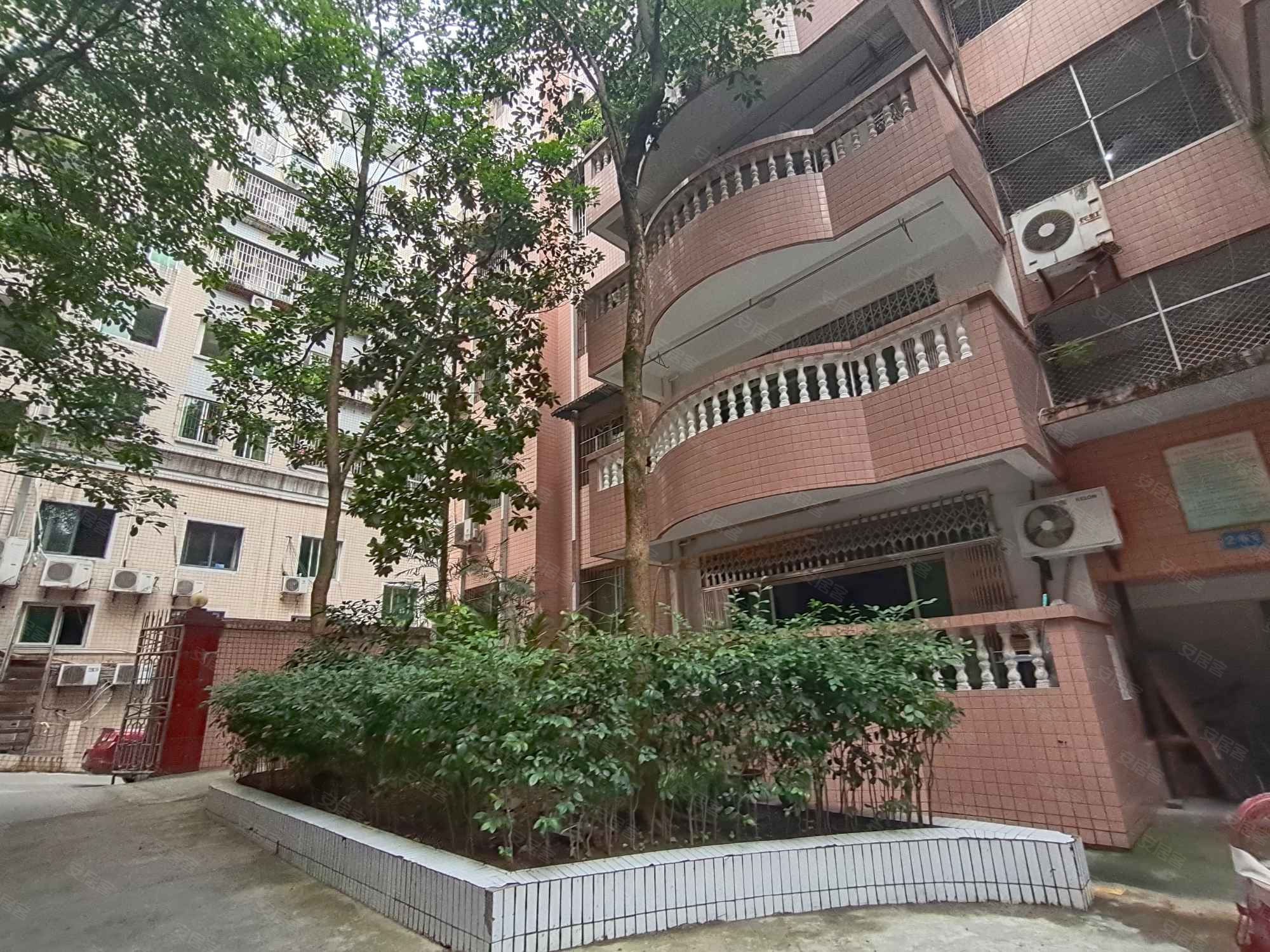 民政局家属院