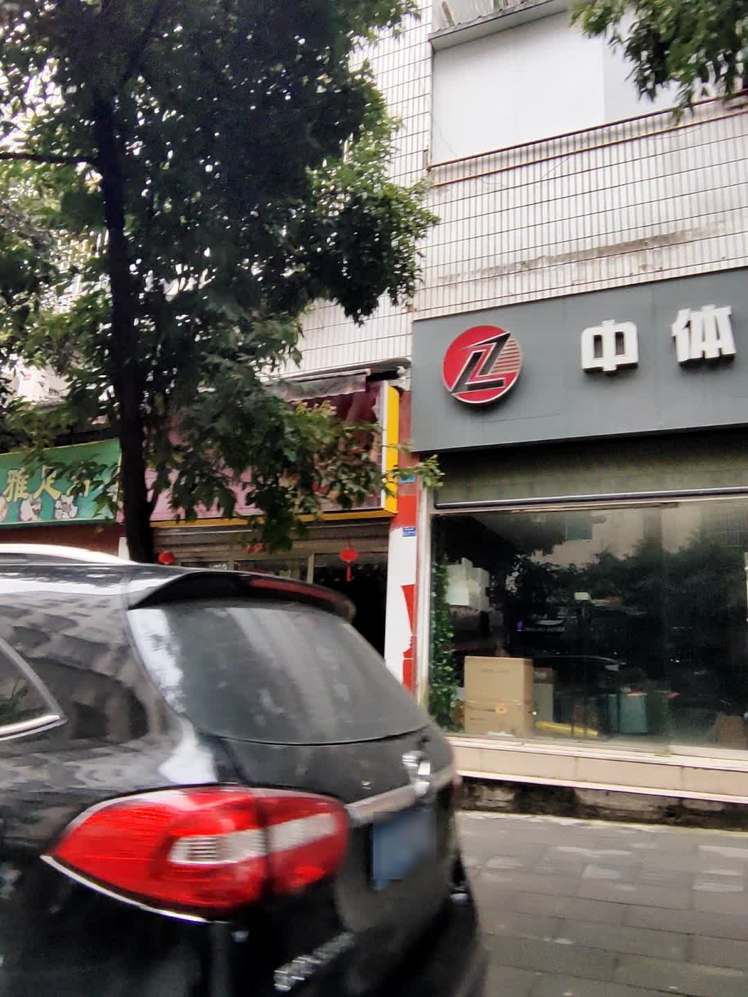 中体体育