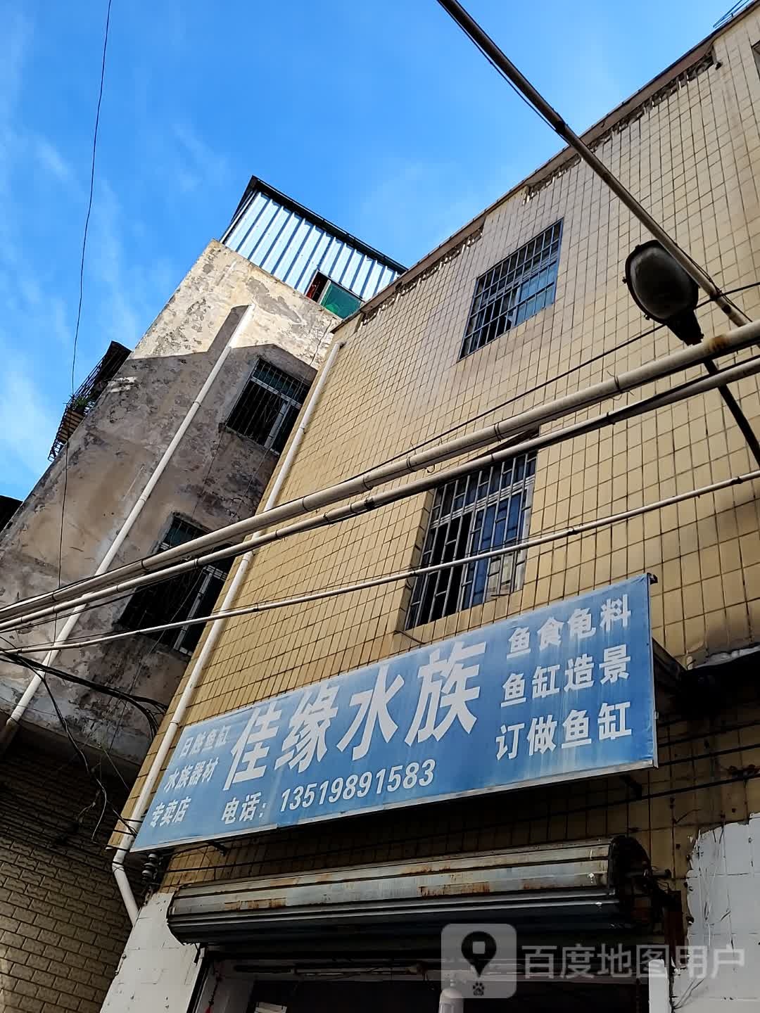 佳缘水族(金棕榈商业广场店)