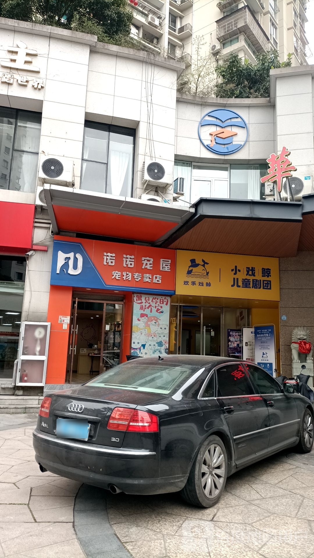 欢乐戏鲸(大南校区)