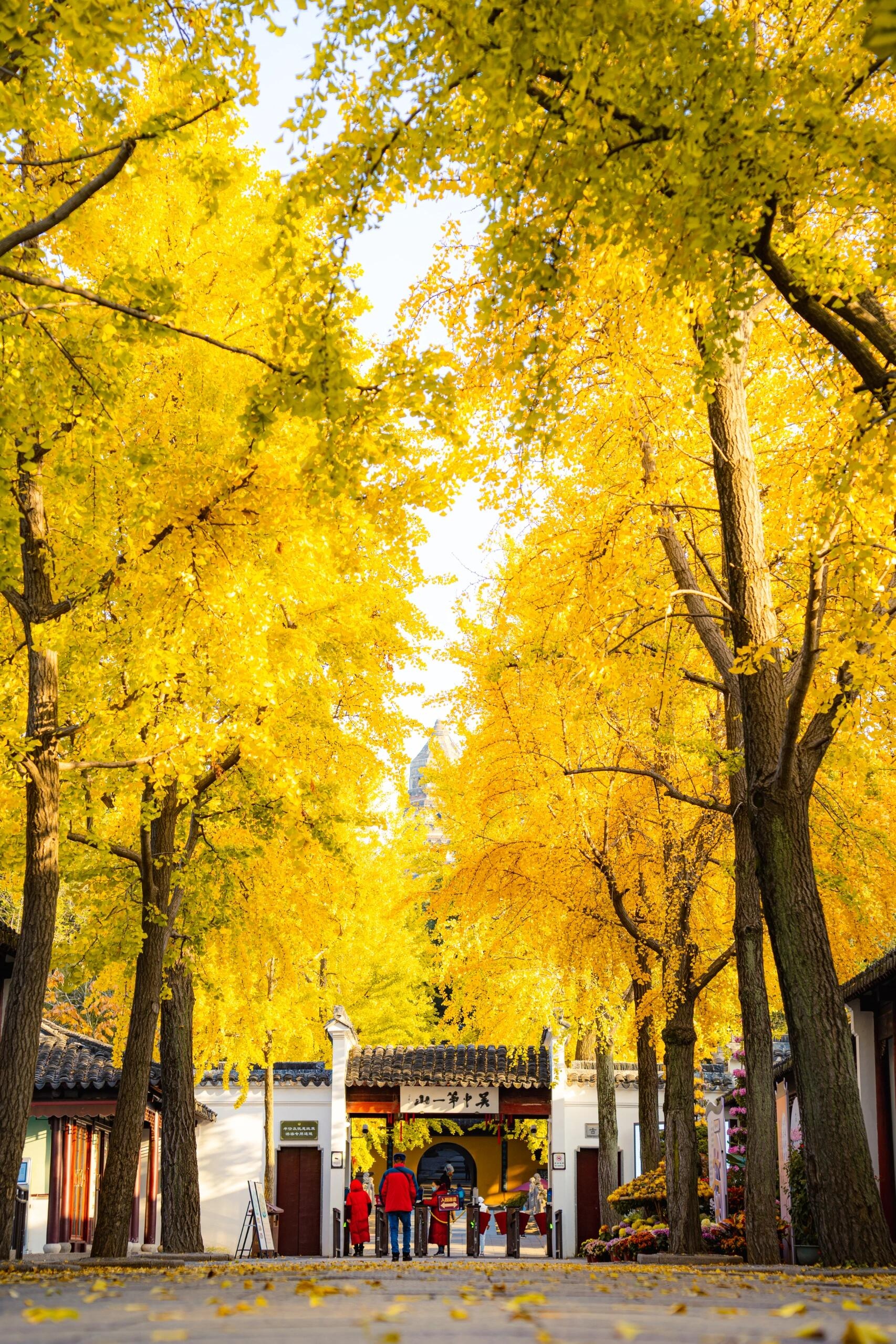 虎丘山风景名胜区
