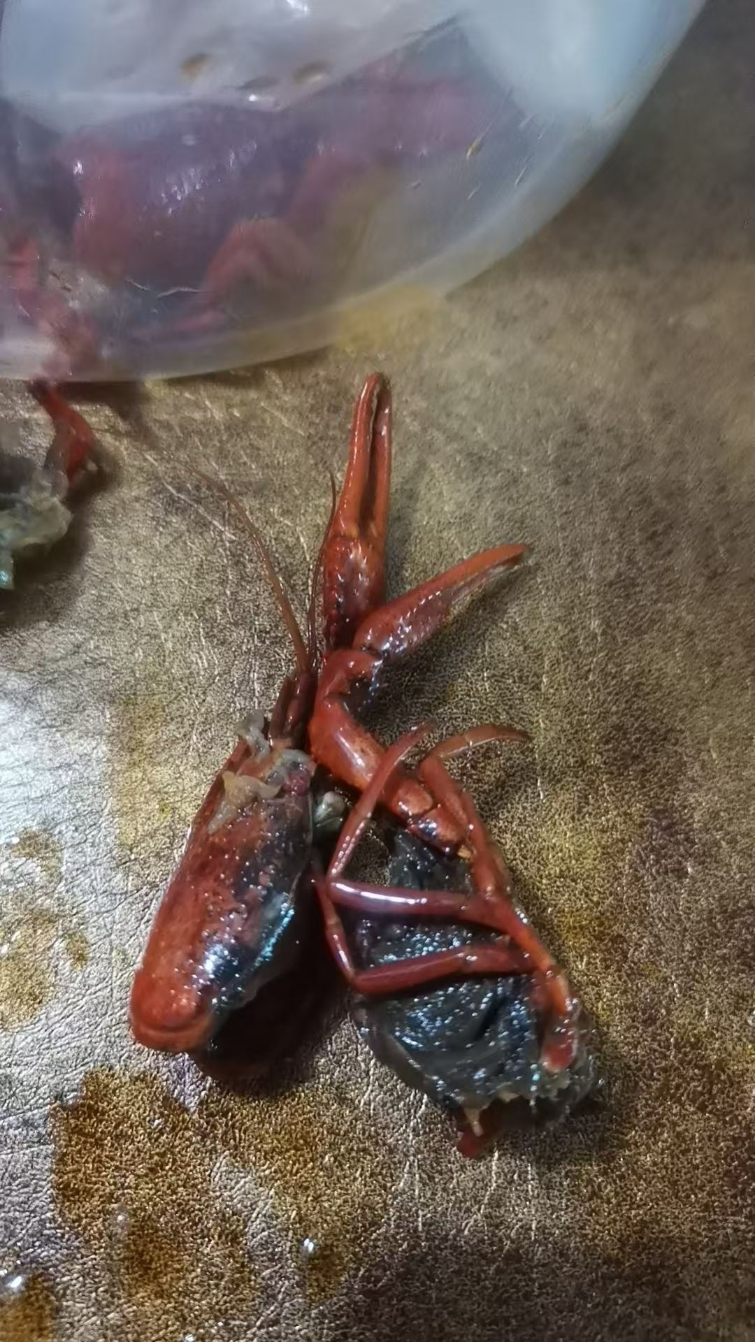 歪锅咯鲜货烧烤铺