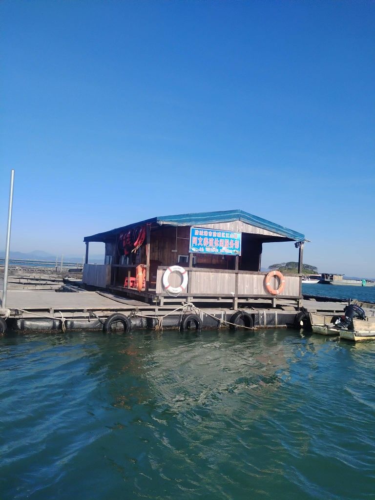 阿文养殖海钓休闲经营部