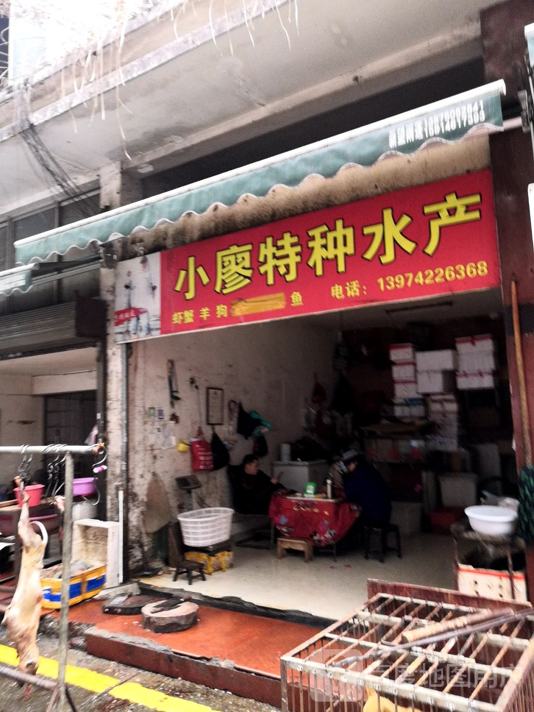 小廖特种水产(龙港巷店)