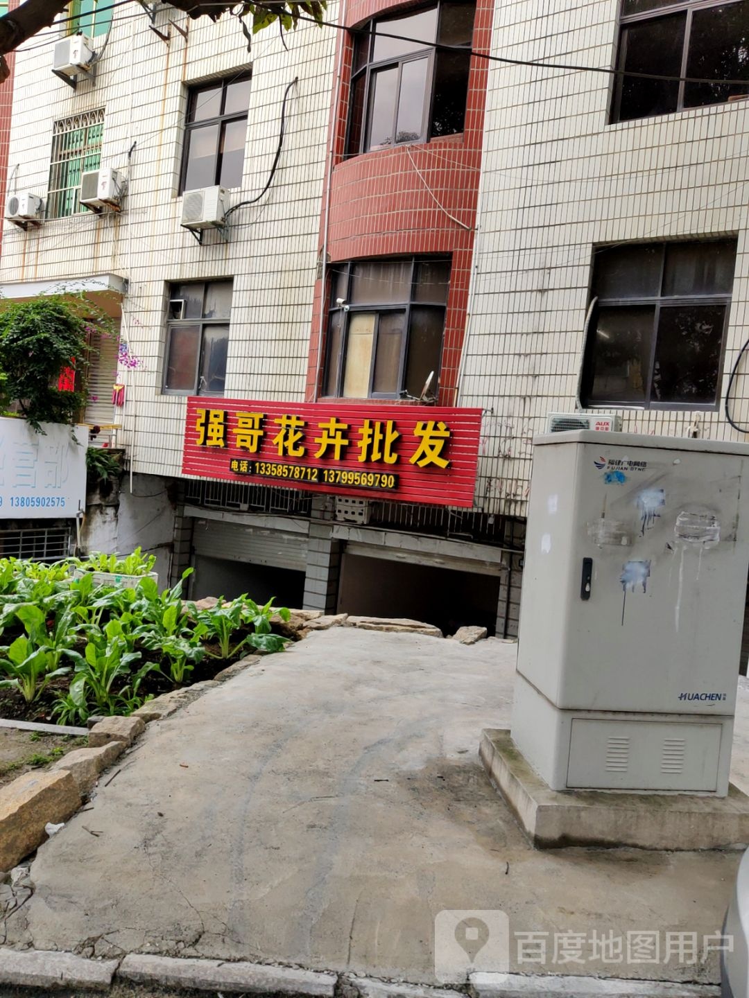 花卉批发