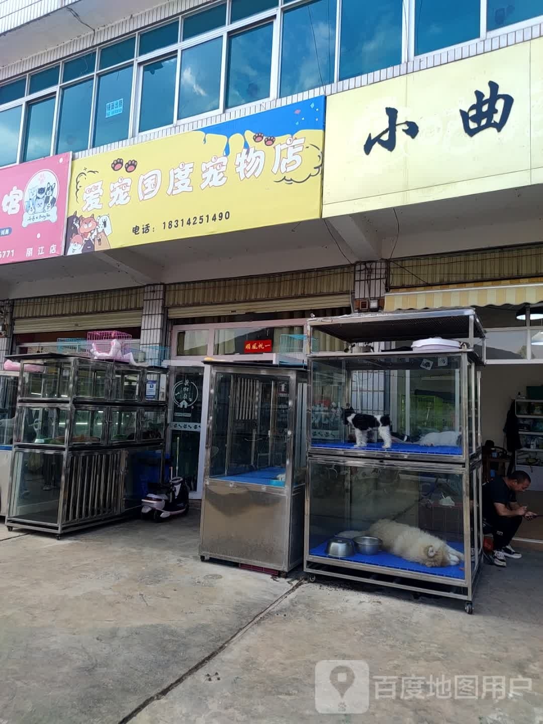 爱宠国度宠物店