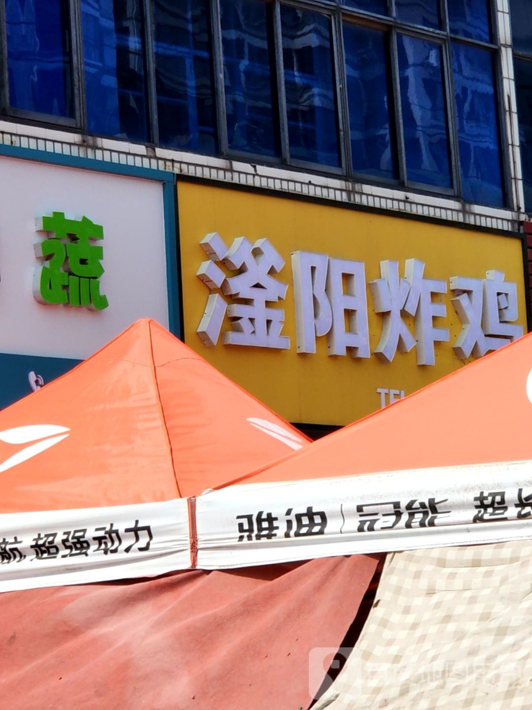 滏阳鸡鸡