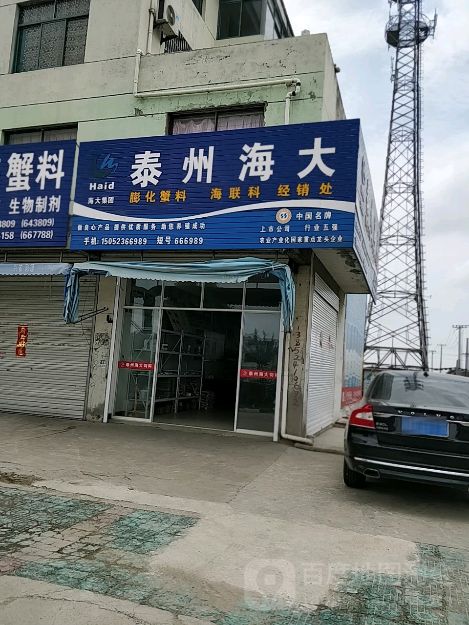 泰州海大