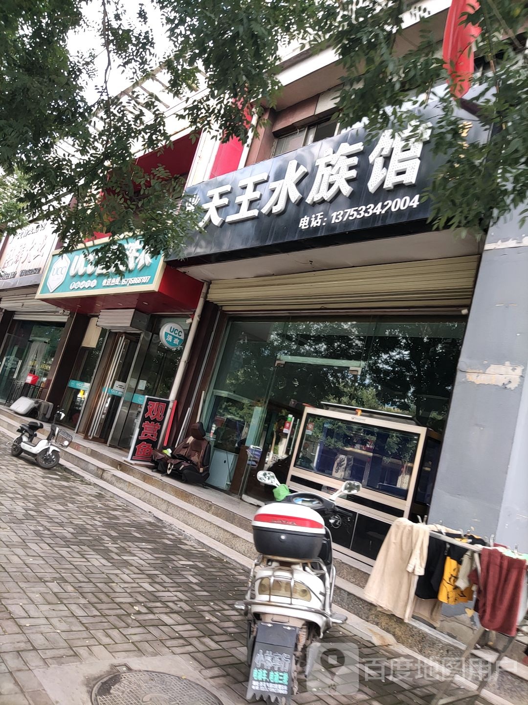 天王水族馆