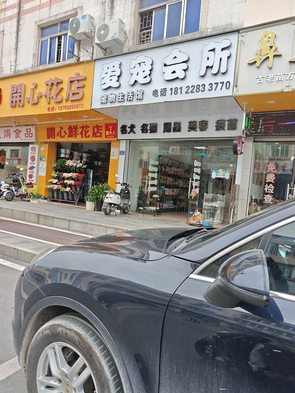 爱宠会所宠物生活馆