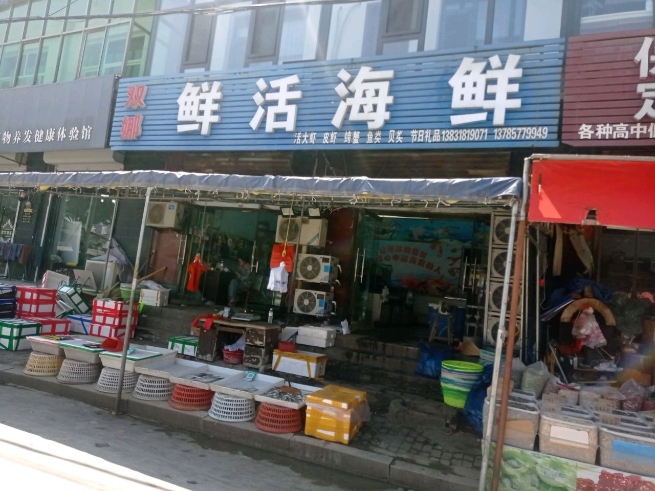 双娜鲜活海鲜