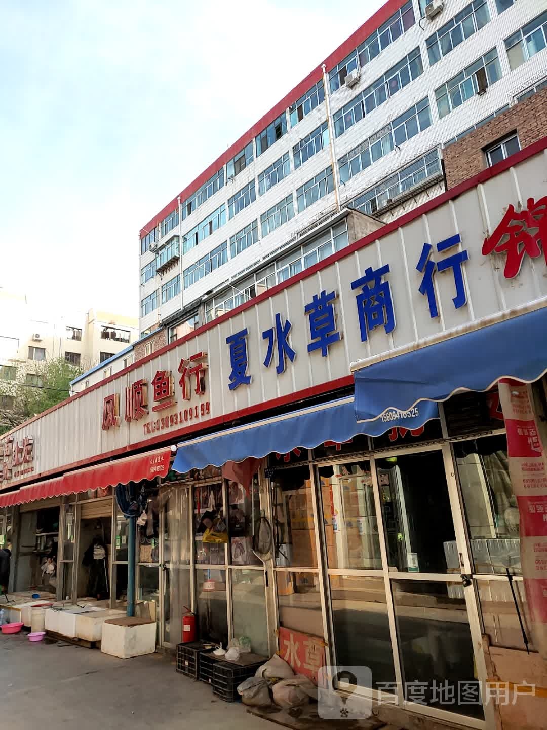 风顺鱼行(雁滩花鸟鱼批发市场店)