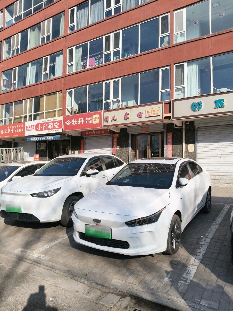 小凡萌宠