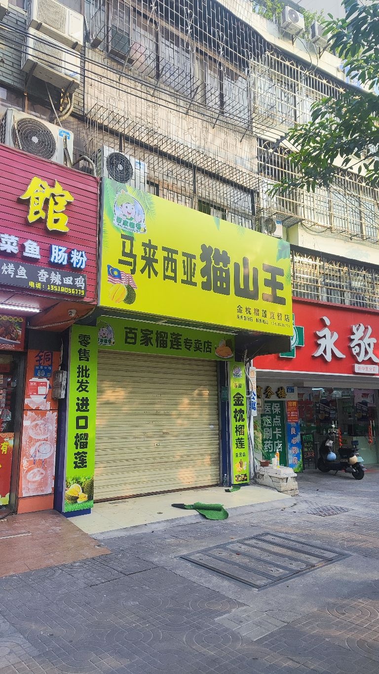 马来西亚猫山王(海秀中路店)