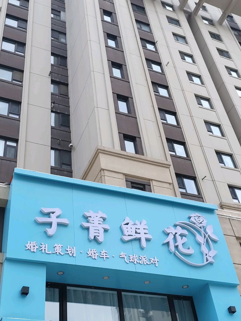 子菁鲜花