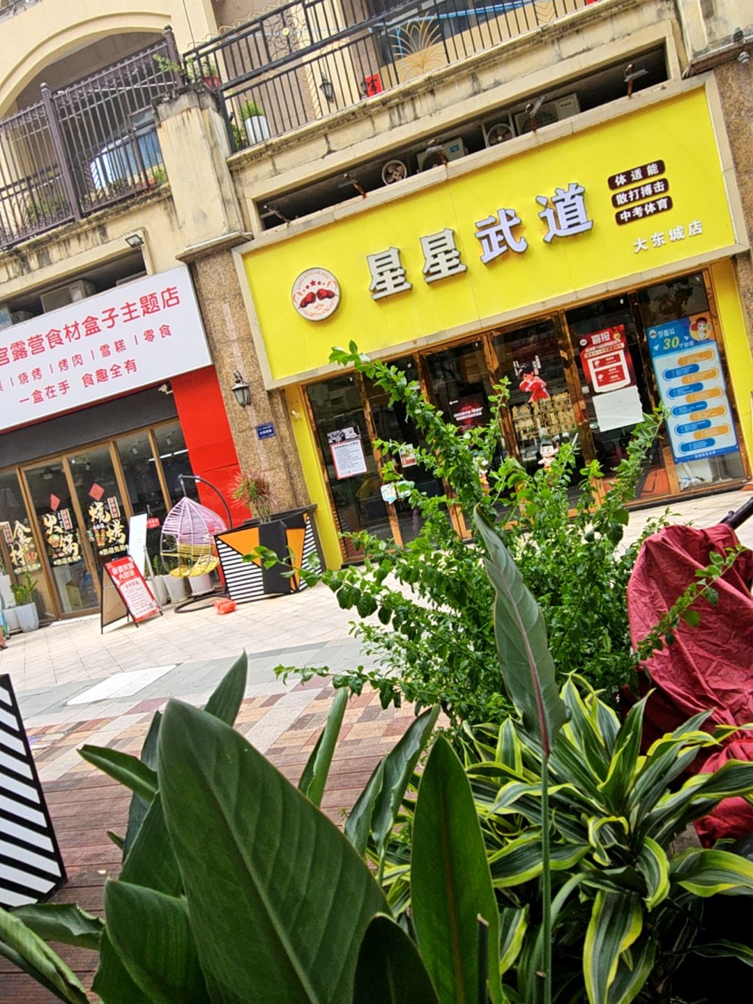 星星格斗(大东城店)