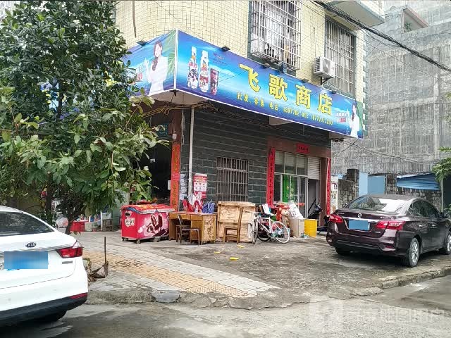 飞歌商店