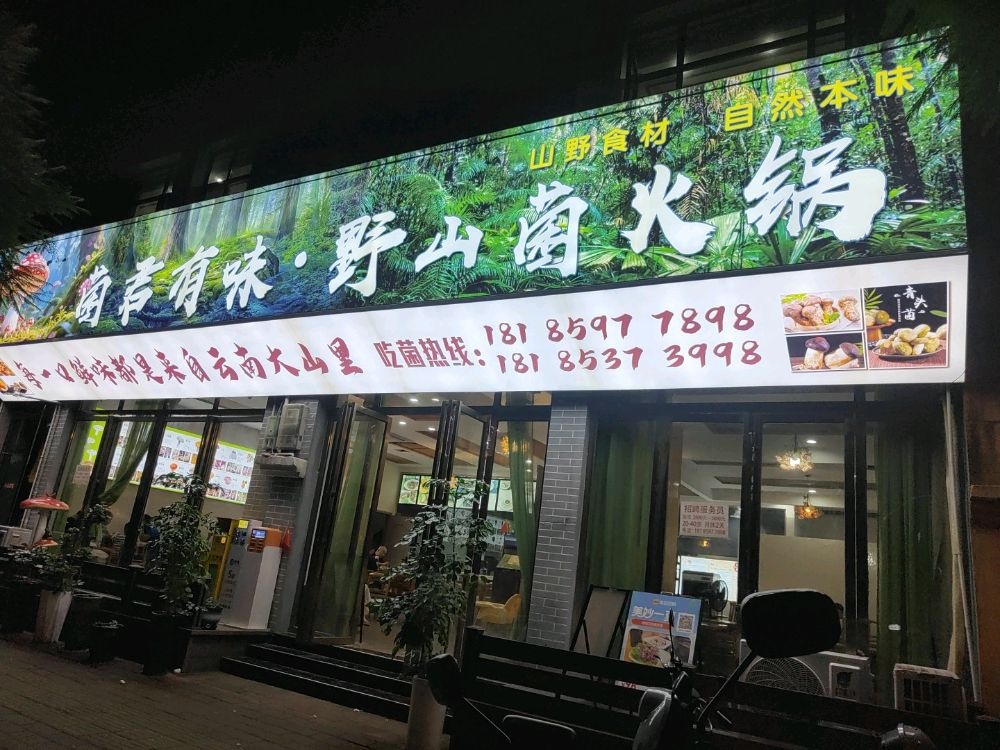 野生·菌君有味·养生火锅