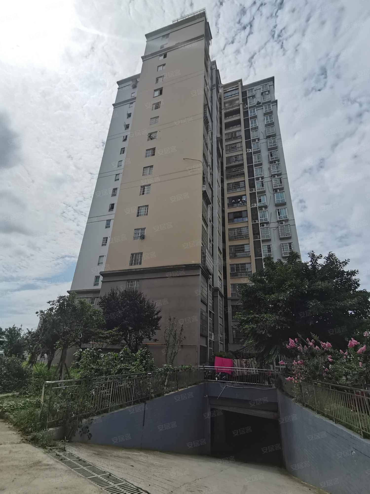 学府阳光