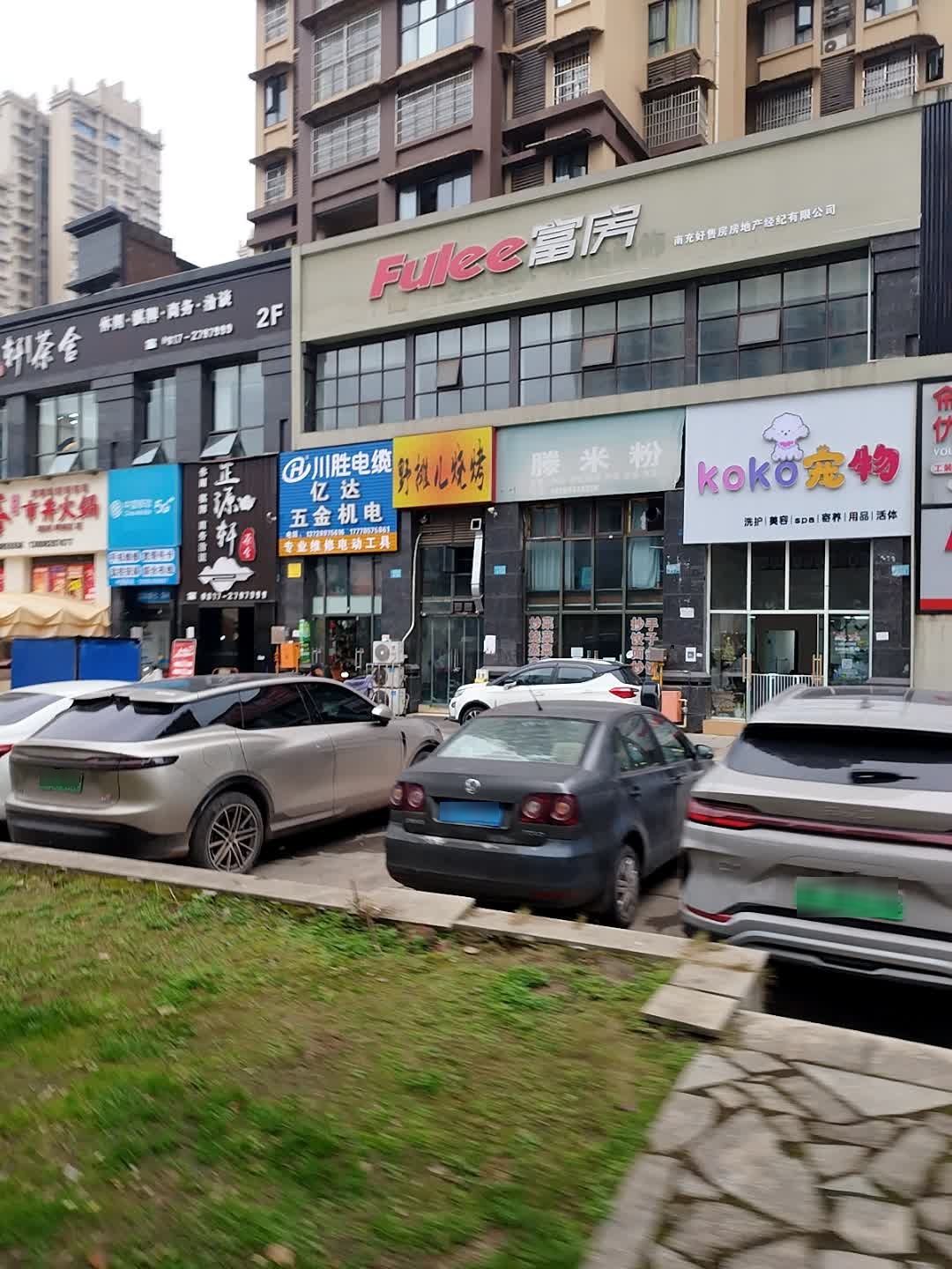 koko宠物