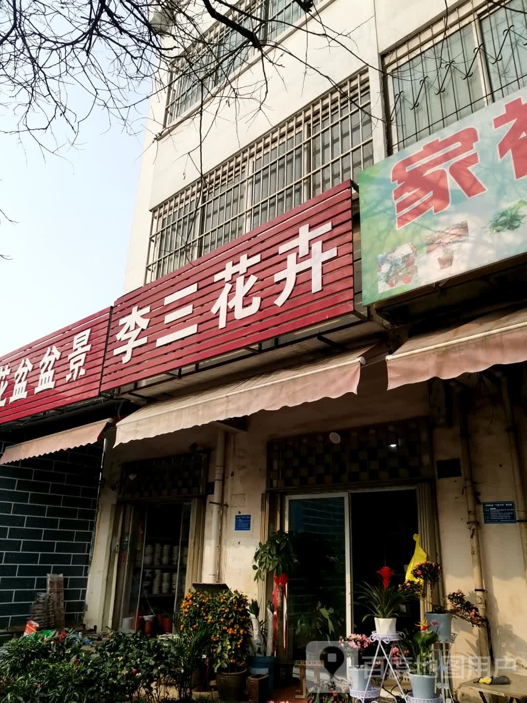 李三花卉