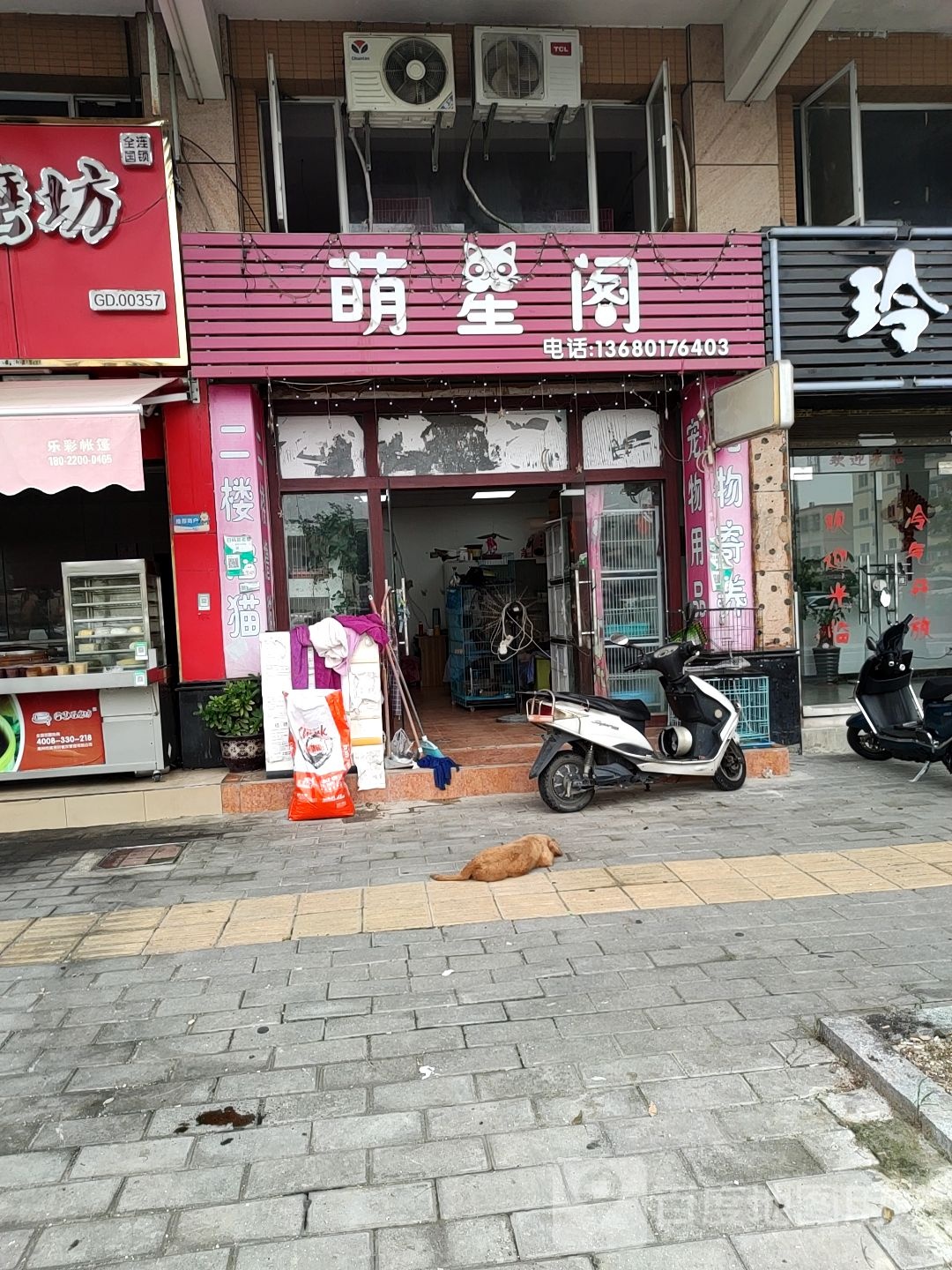 萌星阁宠物店