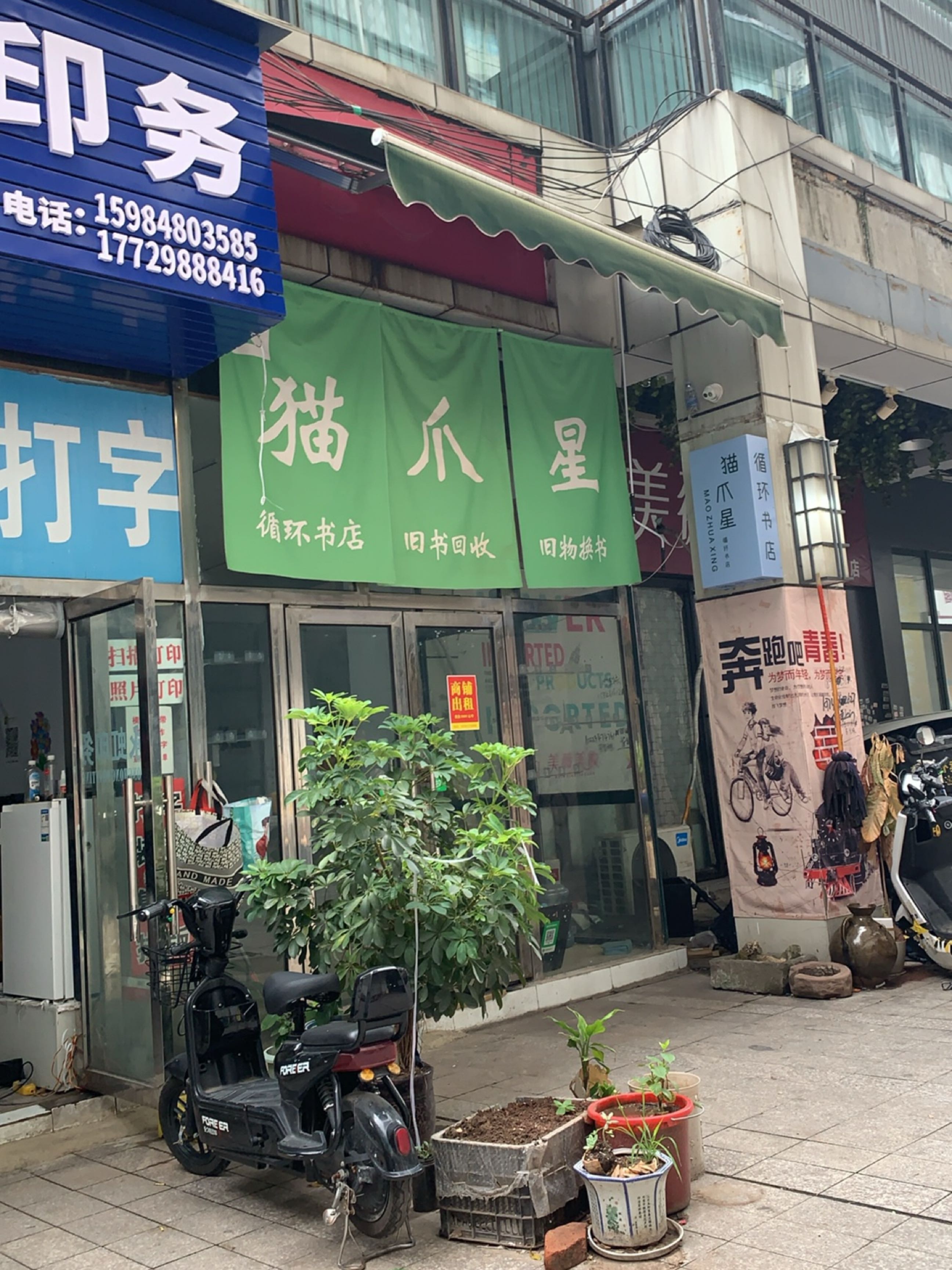 猫爪循环书店