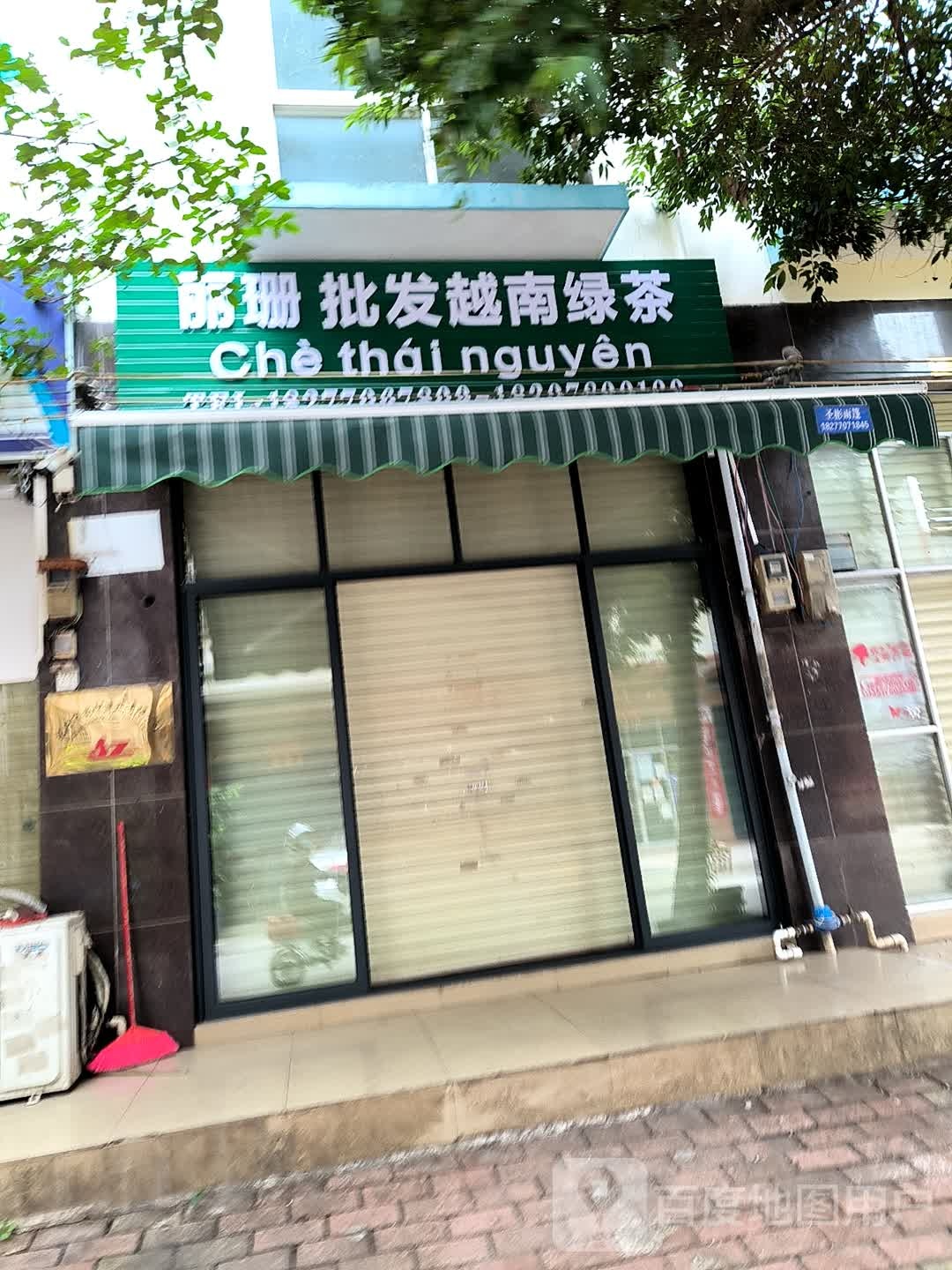 丽珊批发越南绿茶