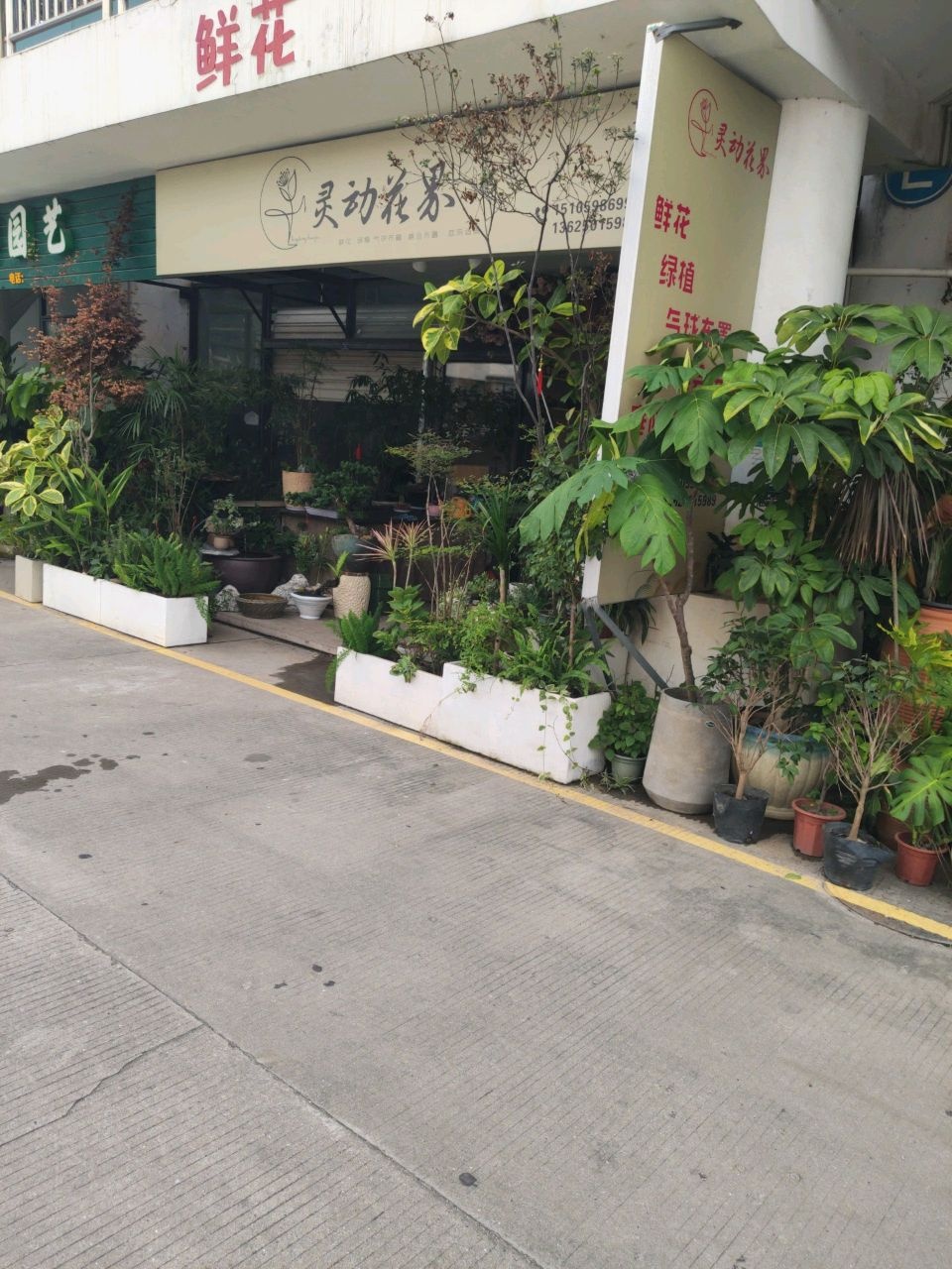 灵动花界鲜花绿植店