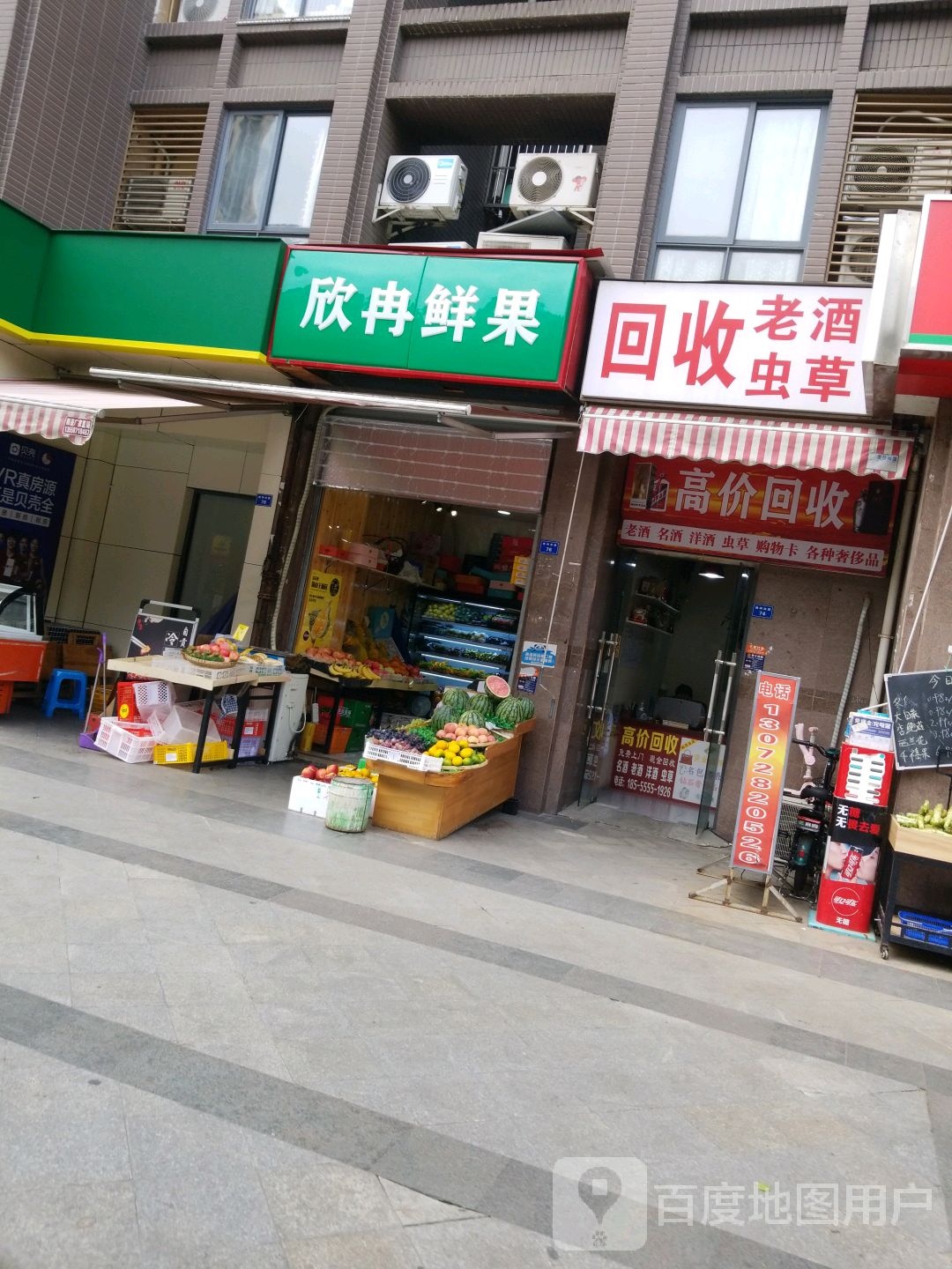 回收老九虫草