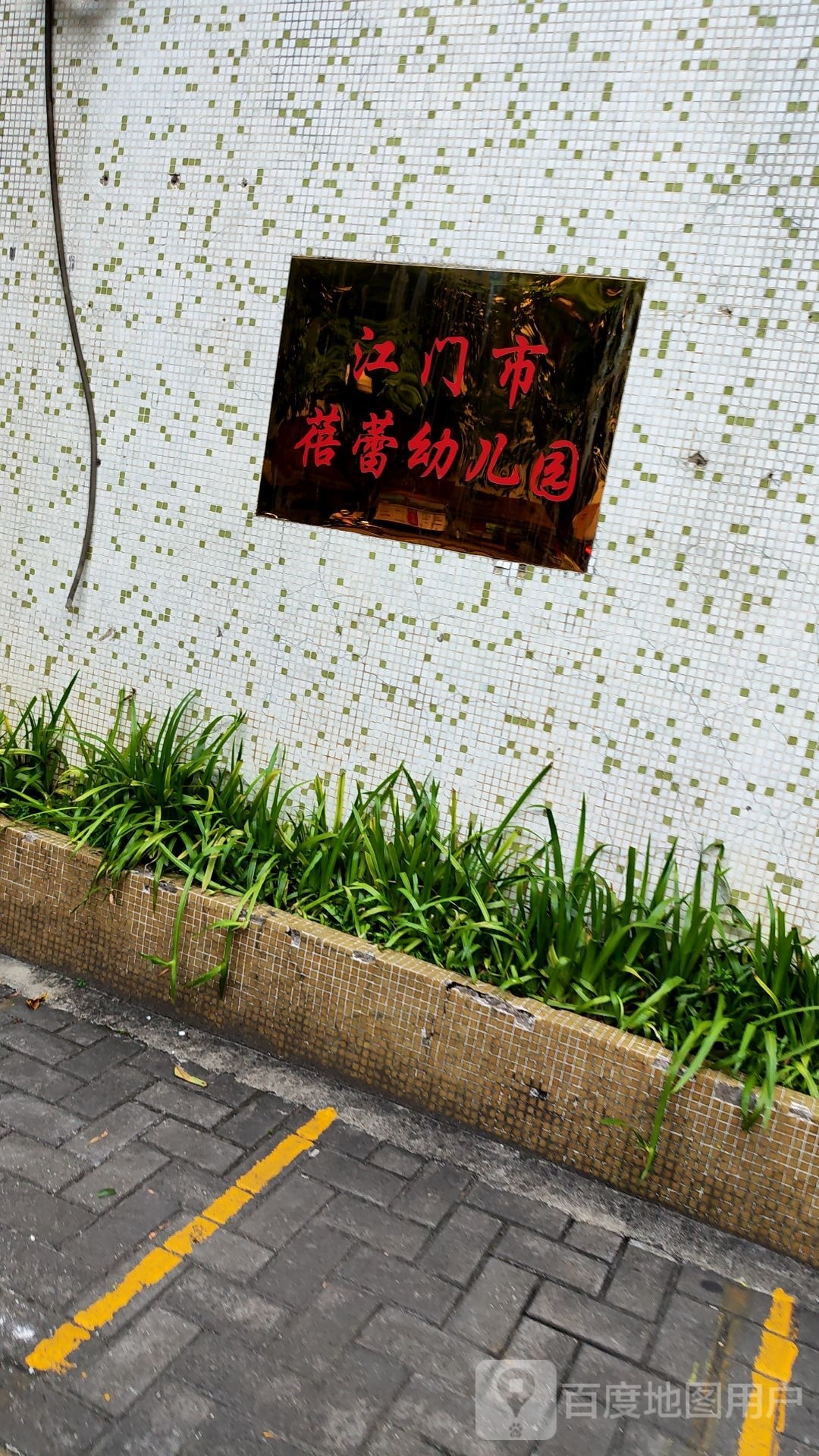 江门市蓓蕾幼儿园