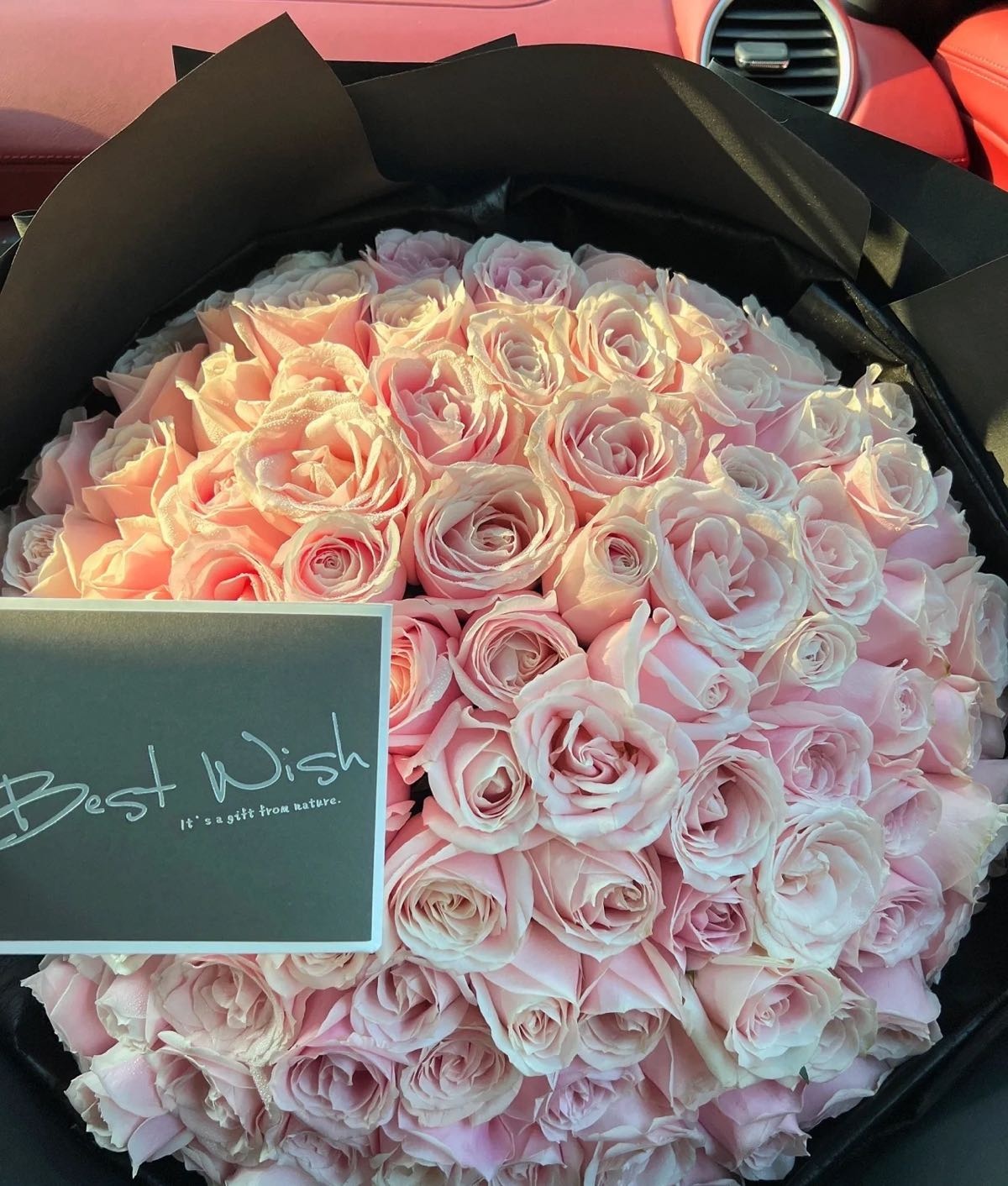 花与蝶花坊