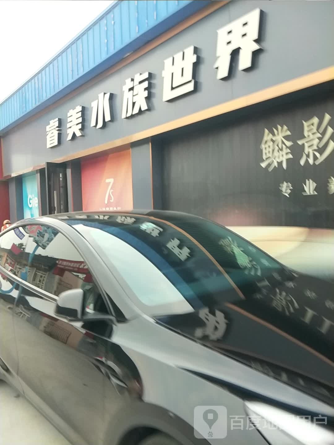 睿美水族世界(东方北路店)