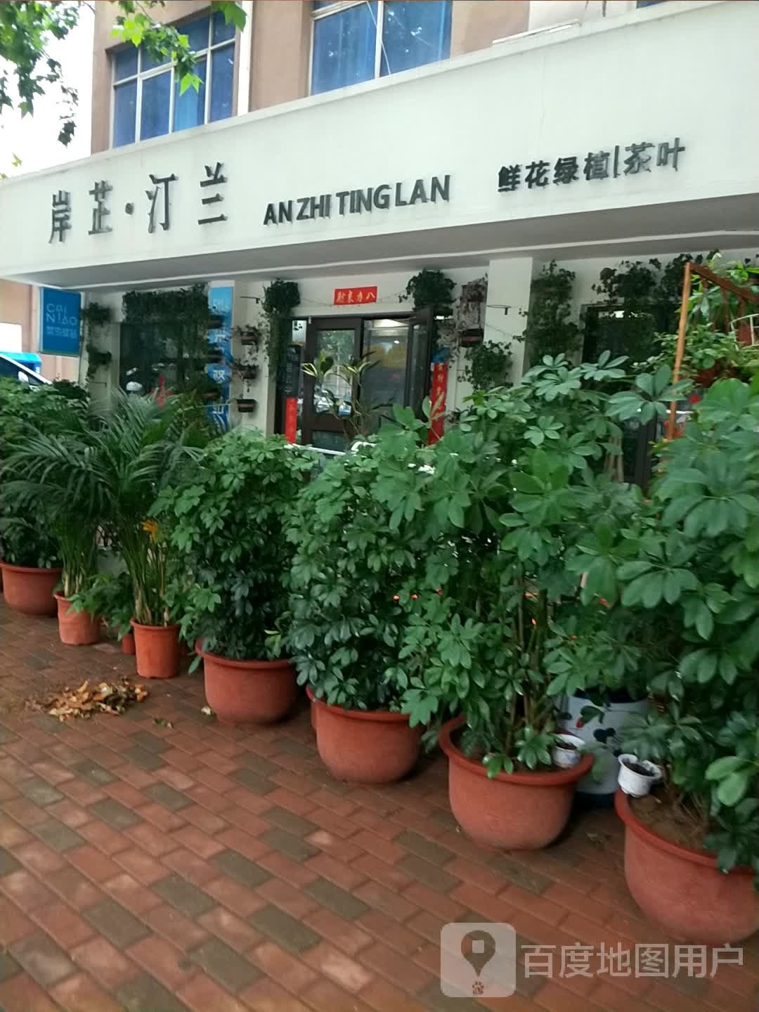 新密市岸芷汀兰鲜花绿植店