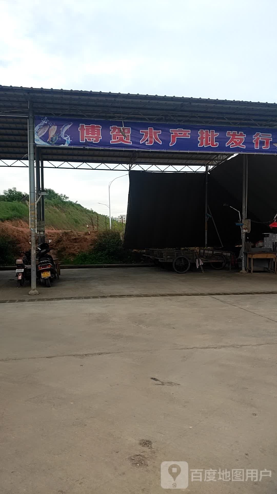 博贺水产批发行