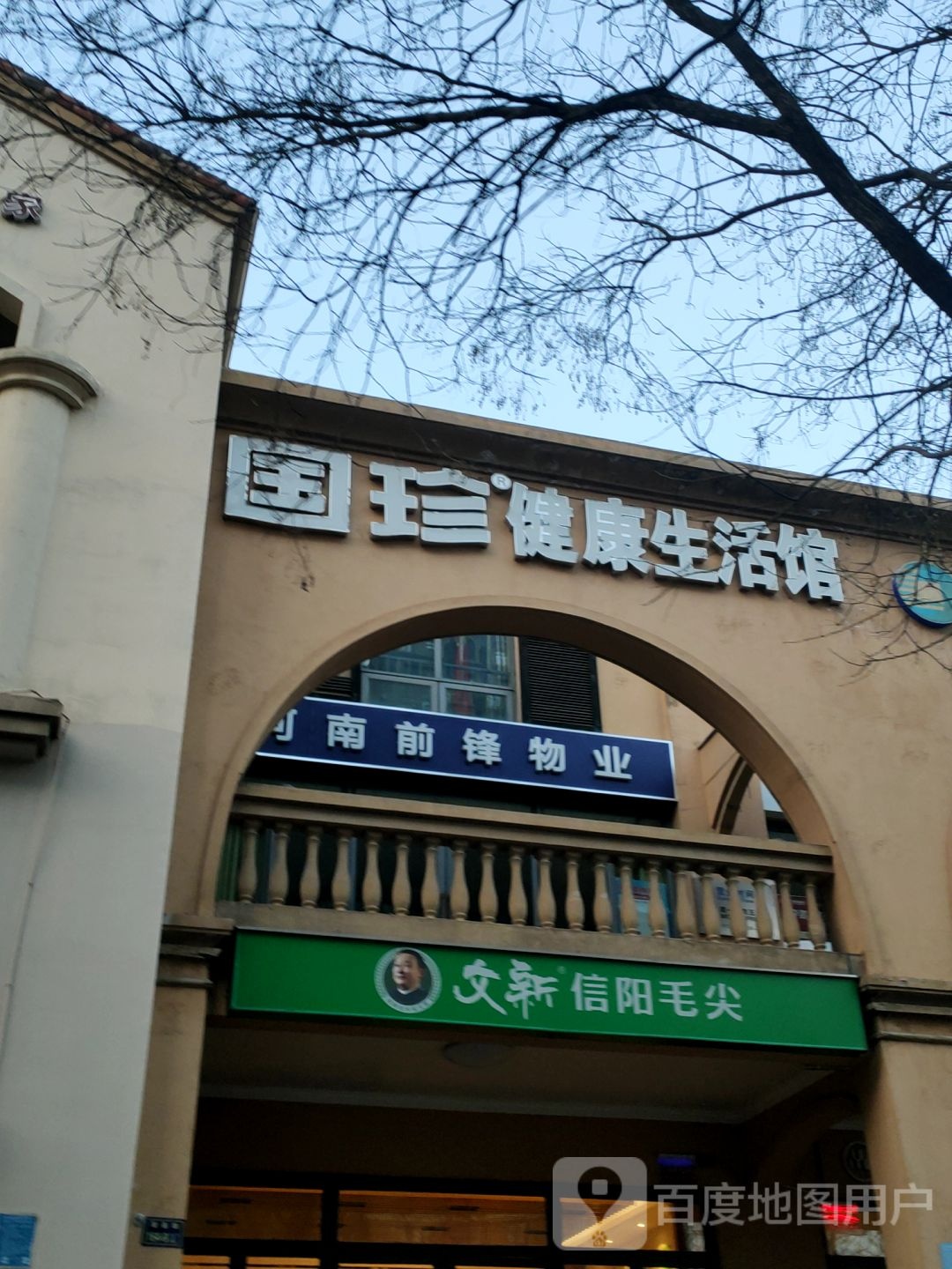 文新信阳毛尖(国基路店)